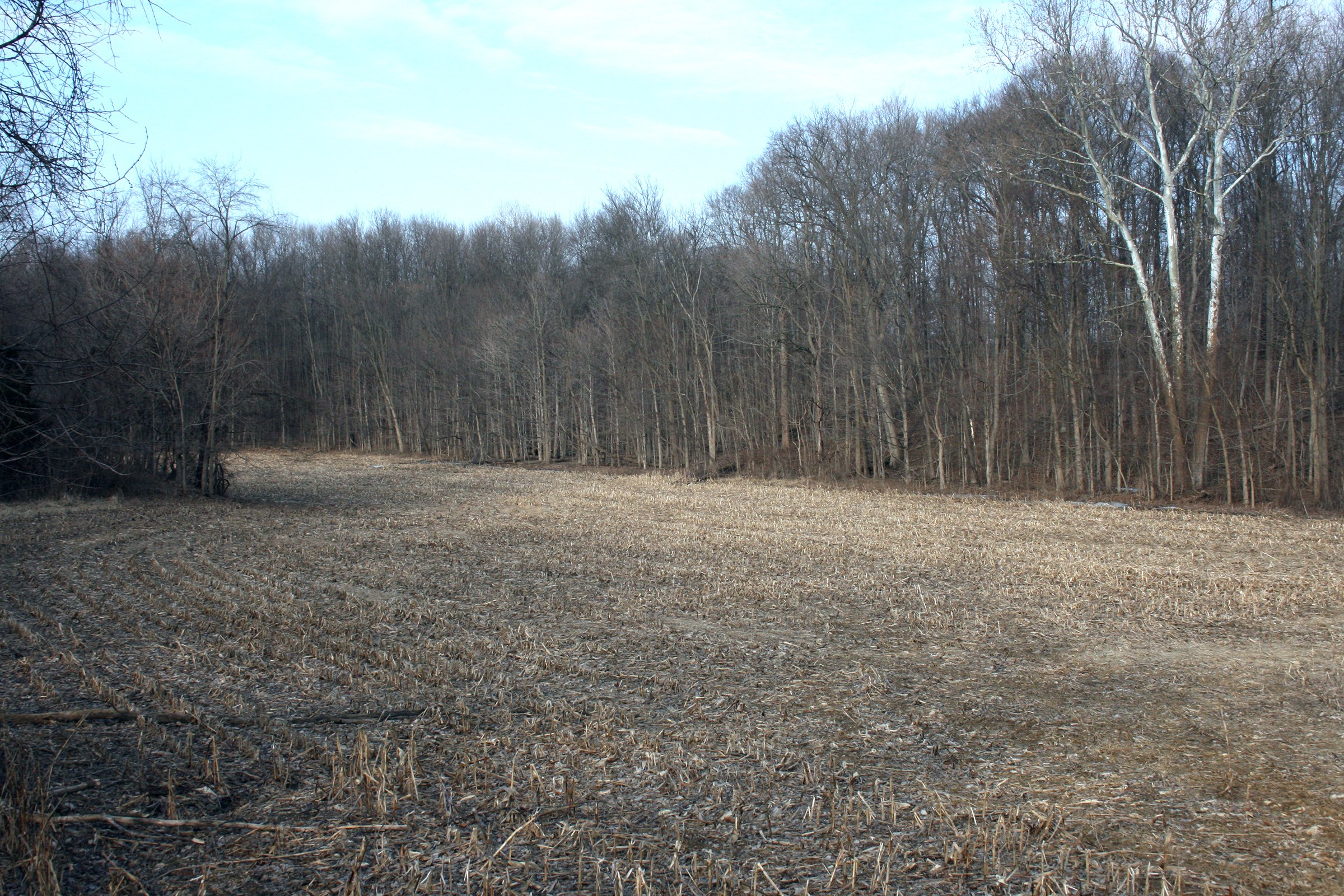 Property photo 9 - REAL ESTATE AUCTION - 84.5+/- ACRES IN 4 TRACTS IN WHITLEY COUNTY, INDIANA
